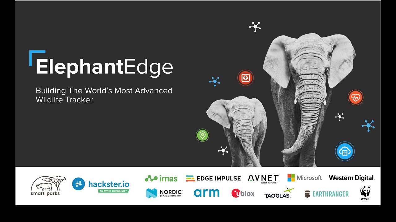 ElephantEdge: Building the World's Most Advanced Wildlife Tracker
