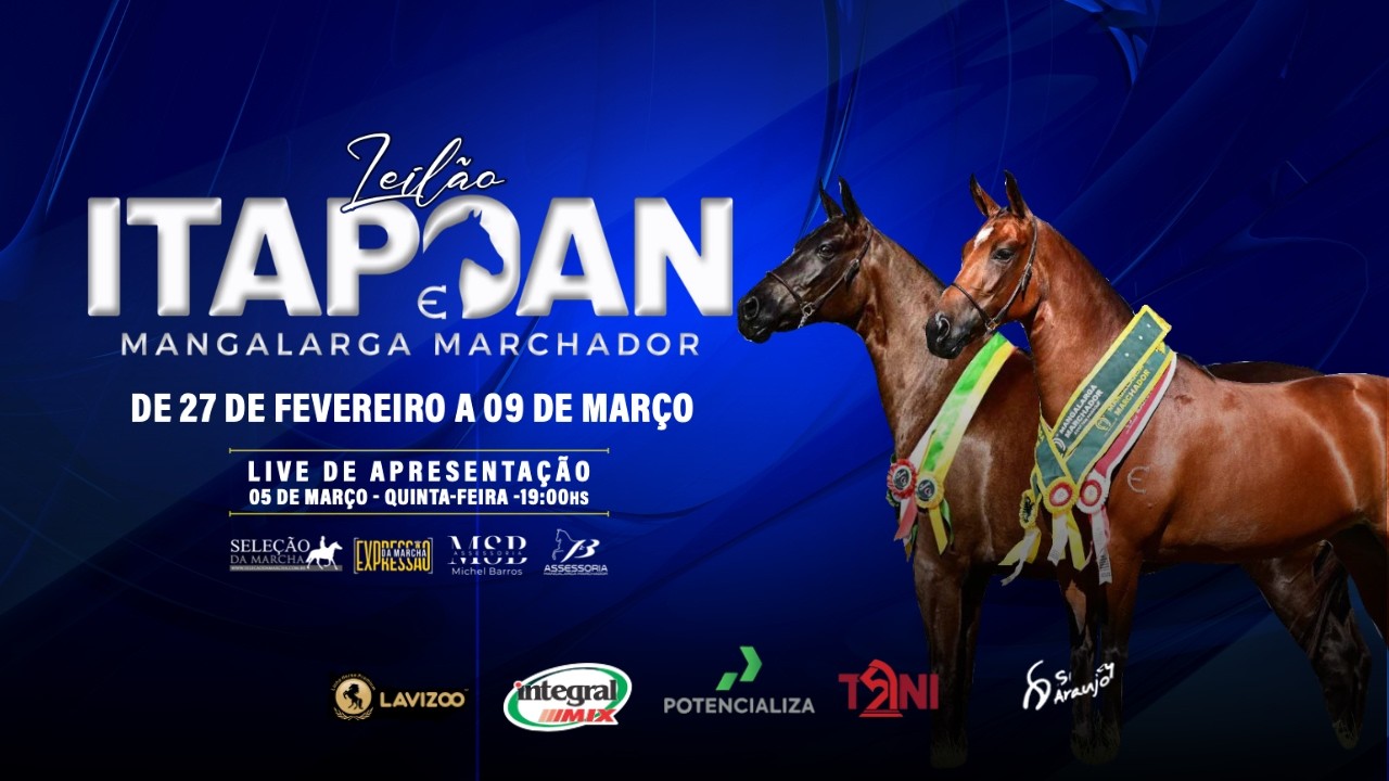 LIVE Leilão Itapoan - 05/03/2026