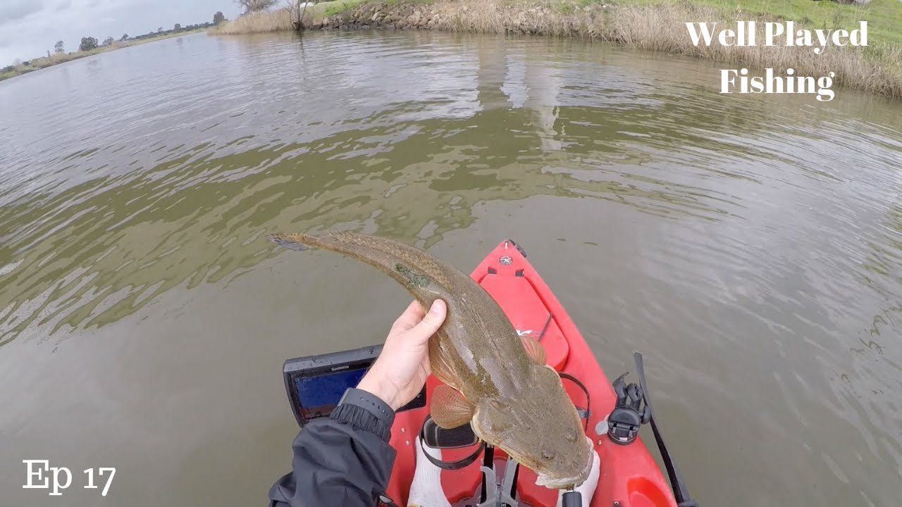 A day on the Hunter River | RAYMOND TERRACE