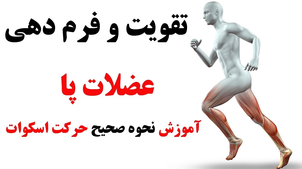 آموزش نحوه صحيح حرکت اسکوات سطح مبتدي،حرکتی برای فرم دهی پاها