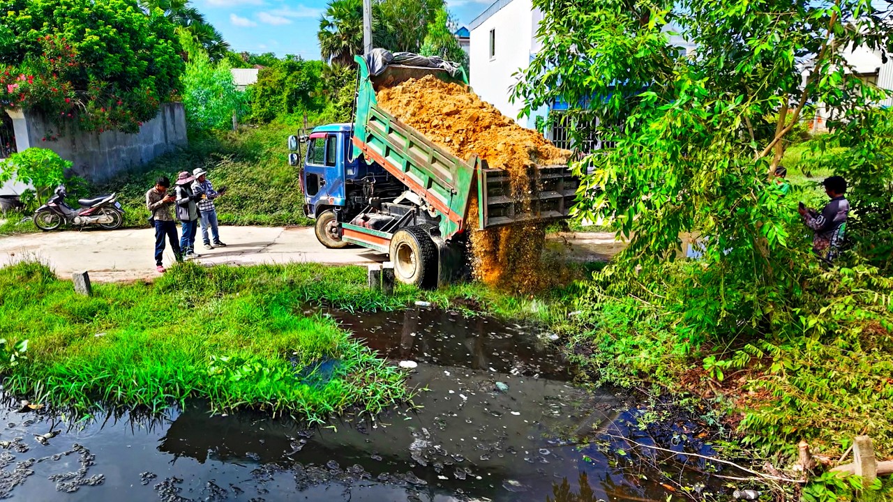 Start a new project!! Filling Land in the swamp by Bulldozer Pushing Soil with 5ton Trucks