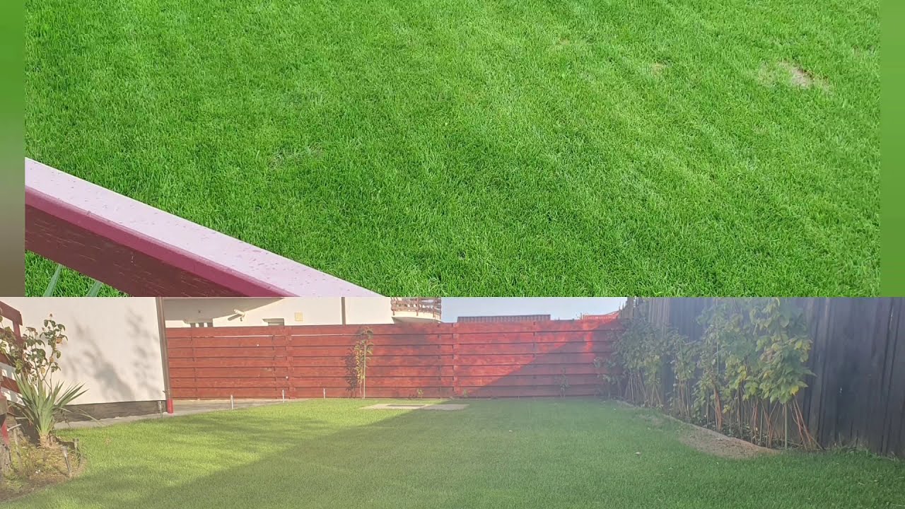 RENOVARE GAZON 2020 - 6 pasi simpli