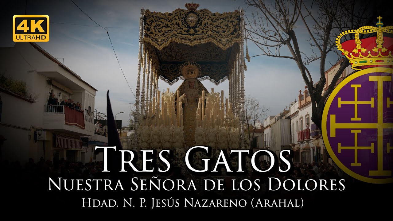 4K | TRES GATOS, NUESTRA SEÑORA DE LOS DOLORES ARAHAL| MADRUGÁ [Hdad. N. P. Jesús Nazareno] 2025