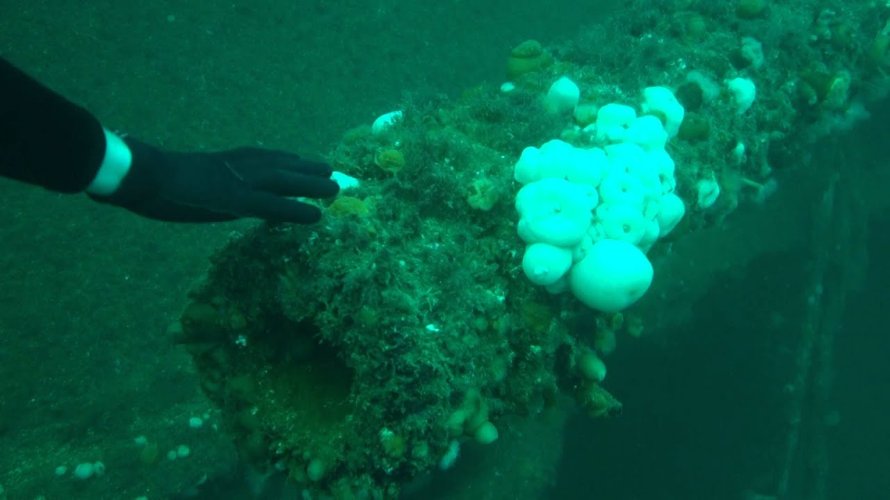 H.M.S. Royal Oak filmed in October 2013