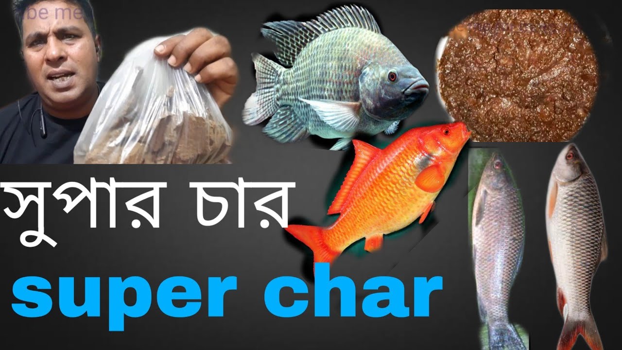 Super char for ruho kalivaush mrigle carp tilapia রুই মৃগেল কালিভেউস কার্ফু তেলাপিয়া জন্নে সুপার চার