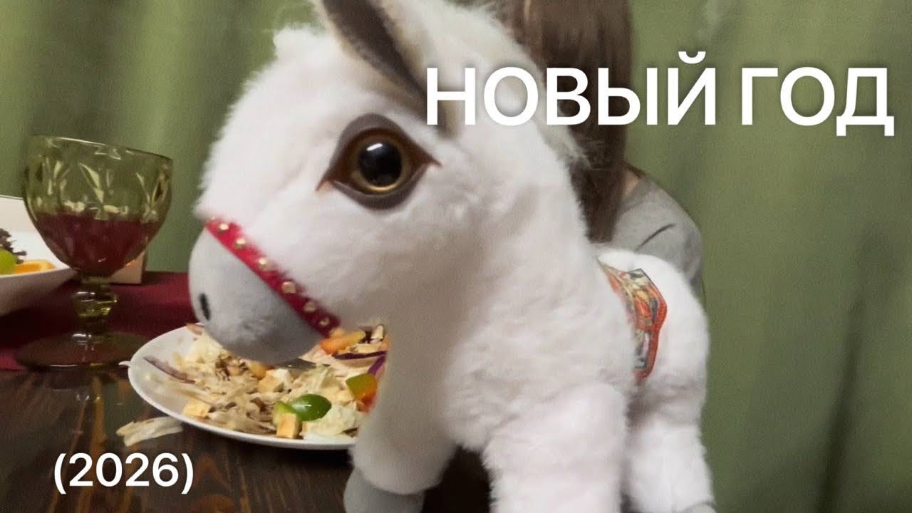 новогодний влог поездка домой