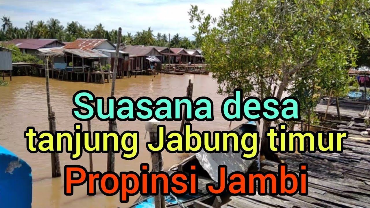 Suasana desa di tanjung Jabung timur provinsi Jambi