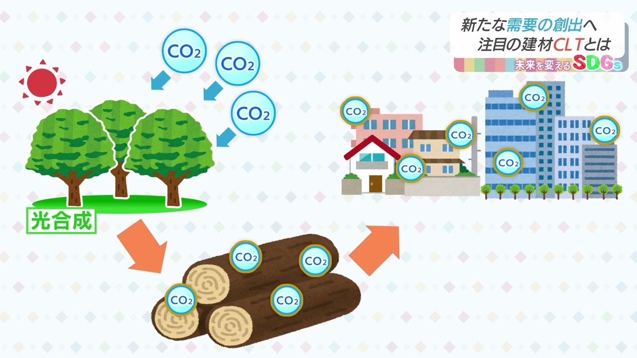 Nスタえひめ　未来を変えるSDGs　「新しい需要を創出　注目の建材CLTとは」