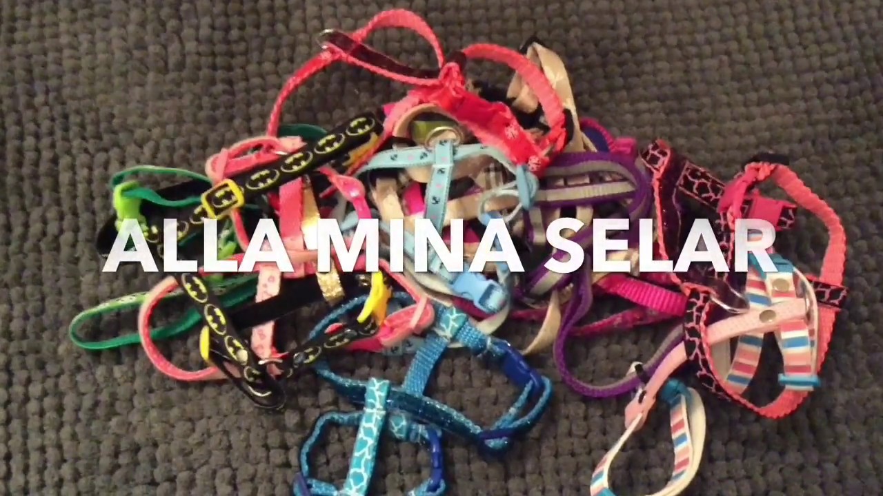 Alla mina selar!