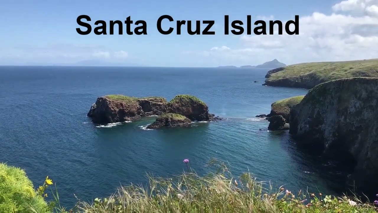 Channel Islands Bald Eagle and Peregrine Falcon Update, 12 April 2023