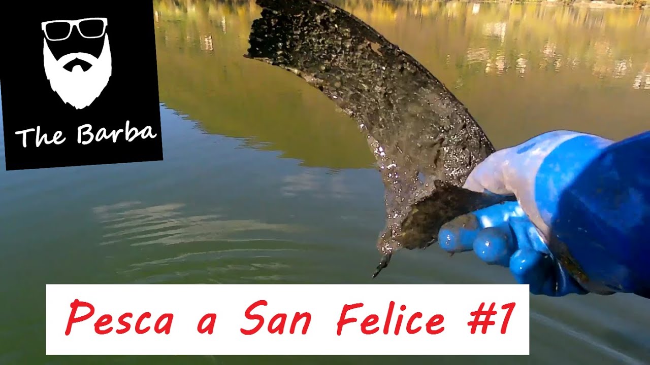 Magnet fishing a San Felice prima parte