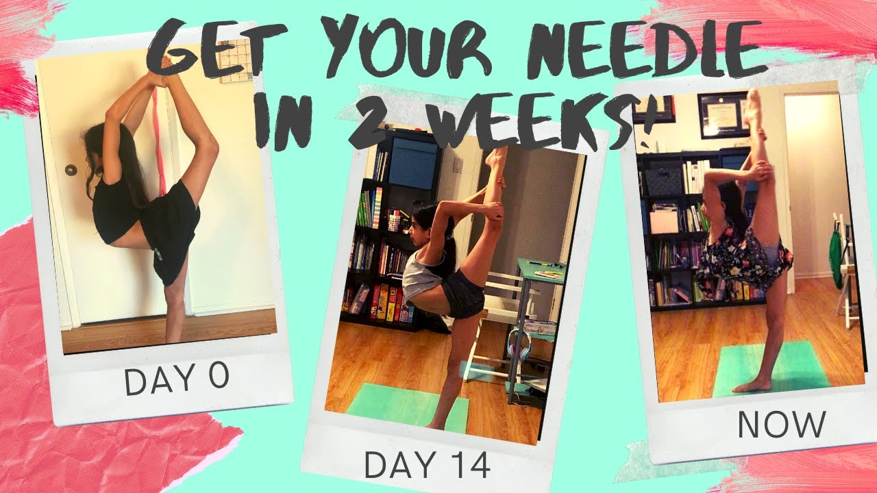 Quick 15 min stretch routine | Get your needle in 2 weeks! | Stretch with me