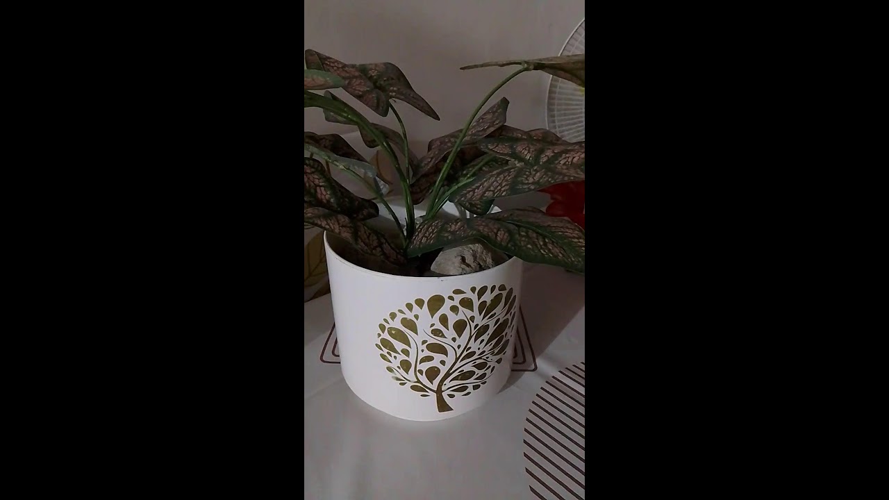 Kabsat Marlyn Vlogs is live!