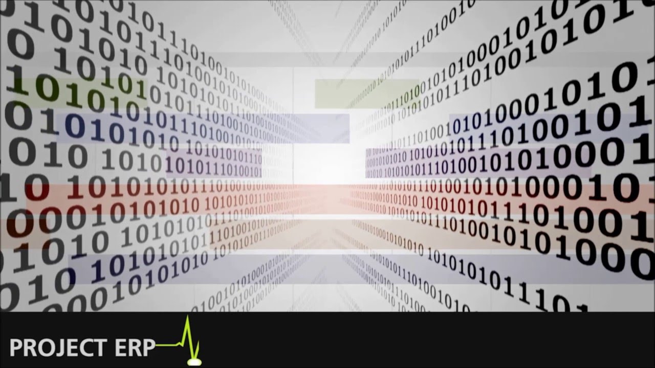 project ERP software for Project-Driven Companies