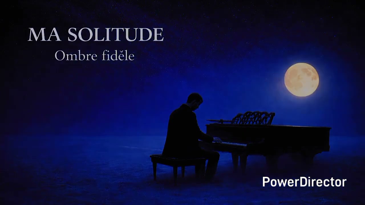 Ma solitude - Ombre fidèle 