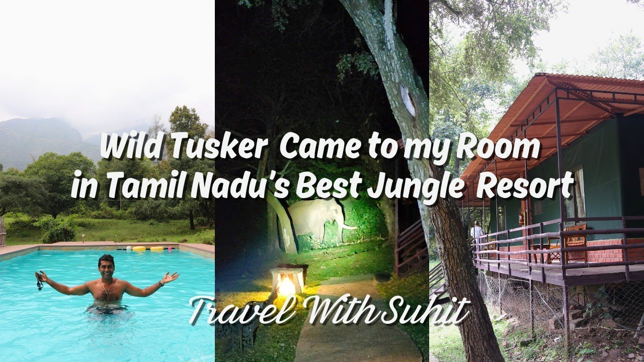 The Ultimate Wilderness Experience: Jungle Hut Resort Review