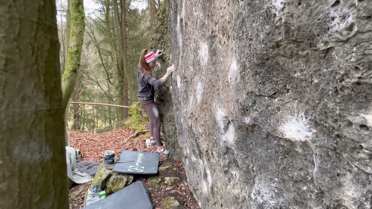 Frankenjura- Freakshow (Fb8A Trav.)