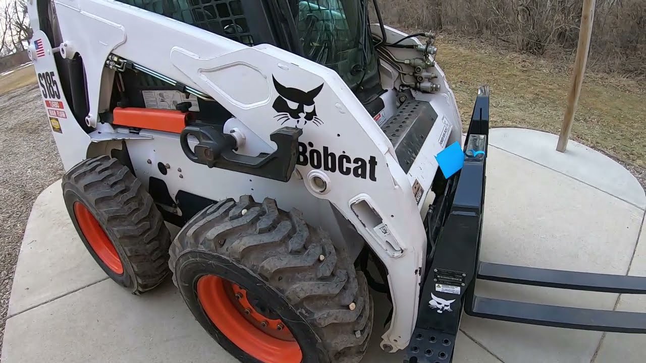 There Is A New White Cat On Pure Joy Farms (Bobcat S185)