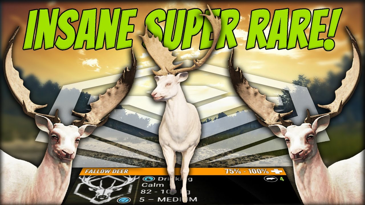 My Greatest Super Rare EVER! Diamond Albino Fallow Deer! The Hunter Call of the wild