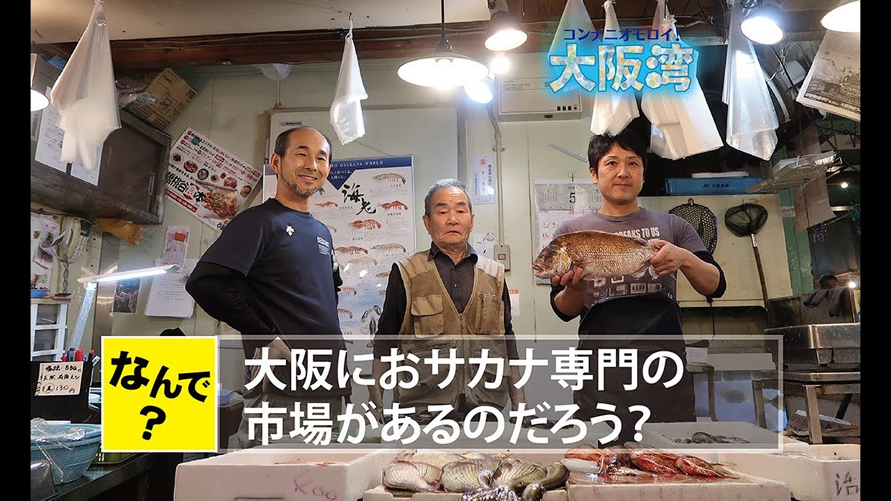 大阪湾の海の幸 鶴橋鮮魚市場の魚屋さんの1日