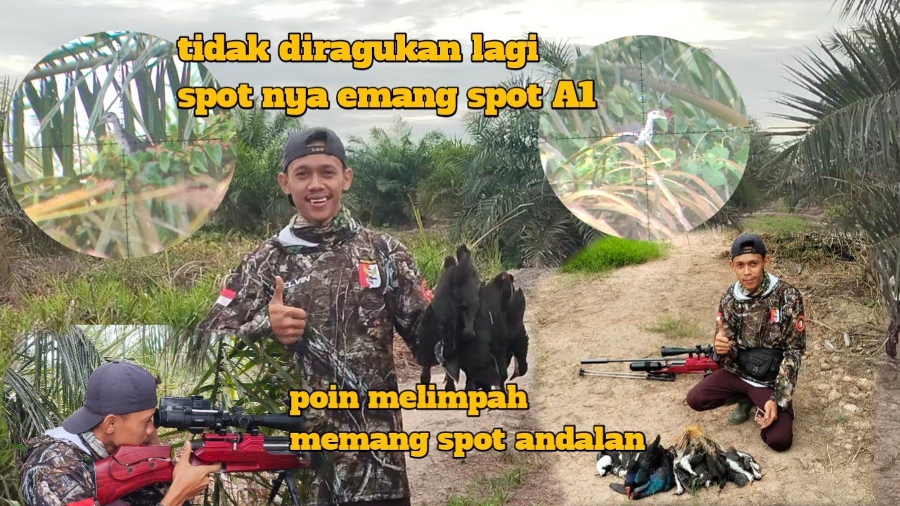 BERBURU BURUNG RUAK-RUAK DI SPOT A1 || NYANGGONG BURUNG RUAK-RUAK POIN BERLIMPAH