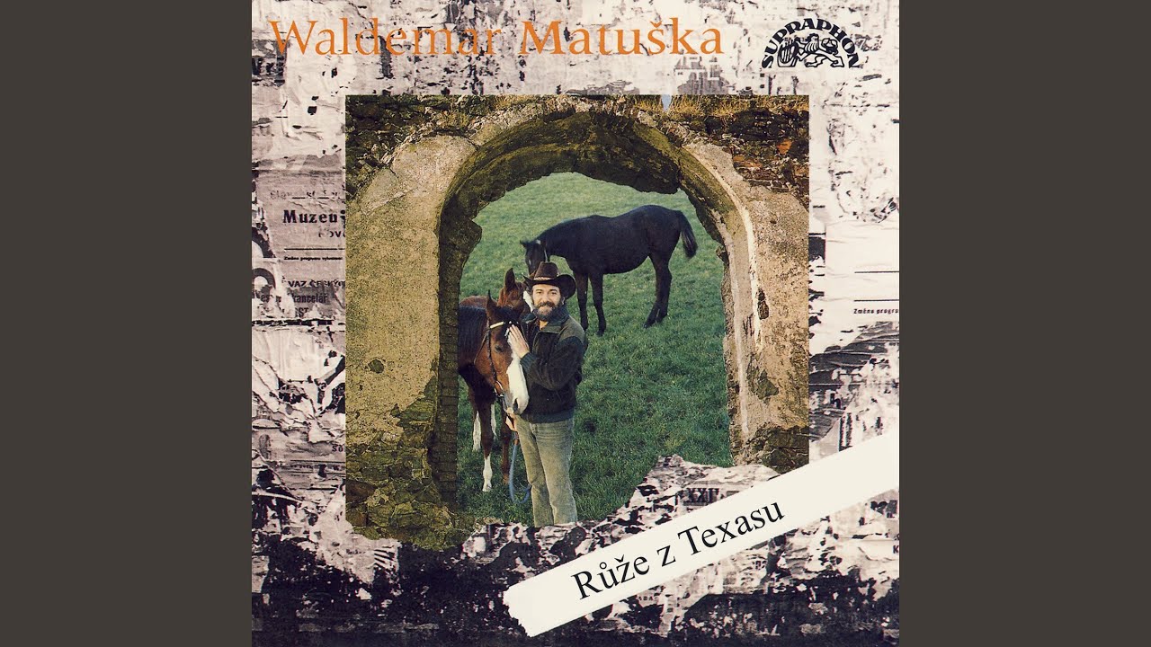 Tam, kde končí modřínovej les