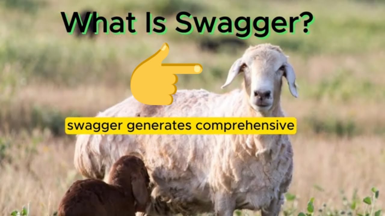 What Is Swagger for APIs?