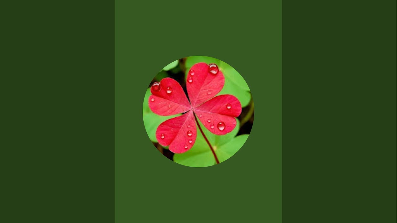 Karima Echols is live!