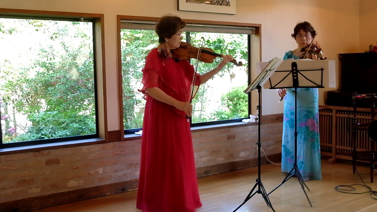 ヴィヴァルディ「2つのヴァイオリンのための協奏曲 イ短調」第１楽章