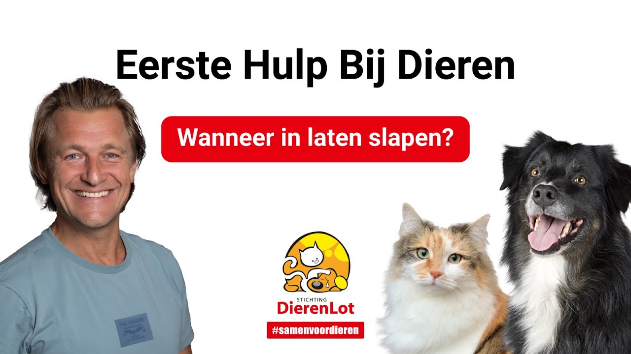 Wanneer laat je je huisdier inslapen?