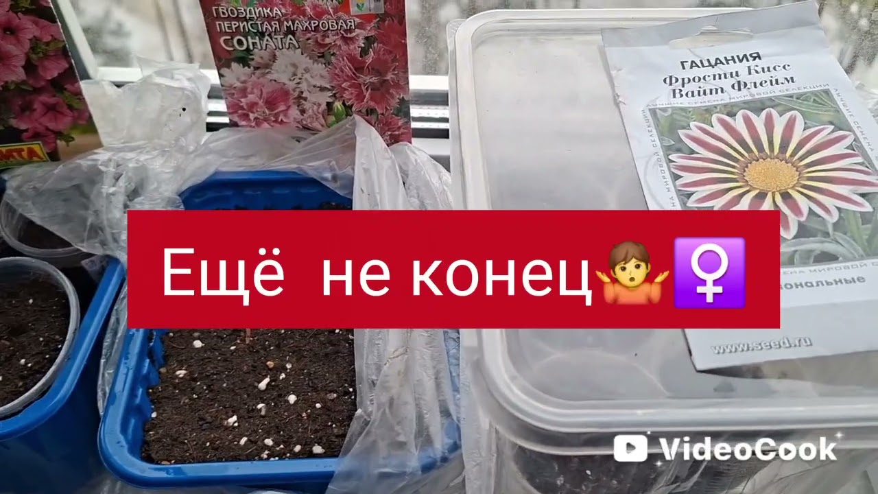 Опять шуршу  пакетиками.🤭🫣Что купилось у меня.🤷‍♀️