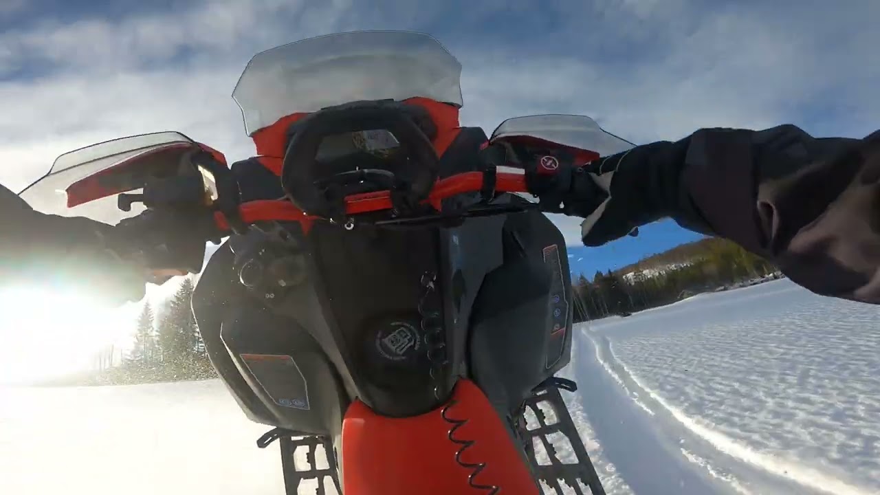 ski doo backcountry xrs 850 -22 (WHEELIE MACHINE)