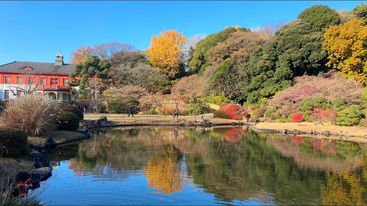 小石川植物園です。