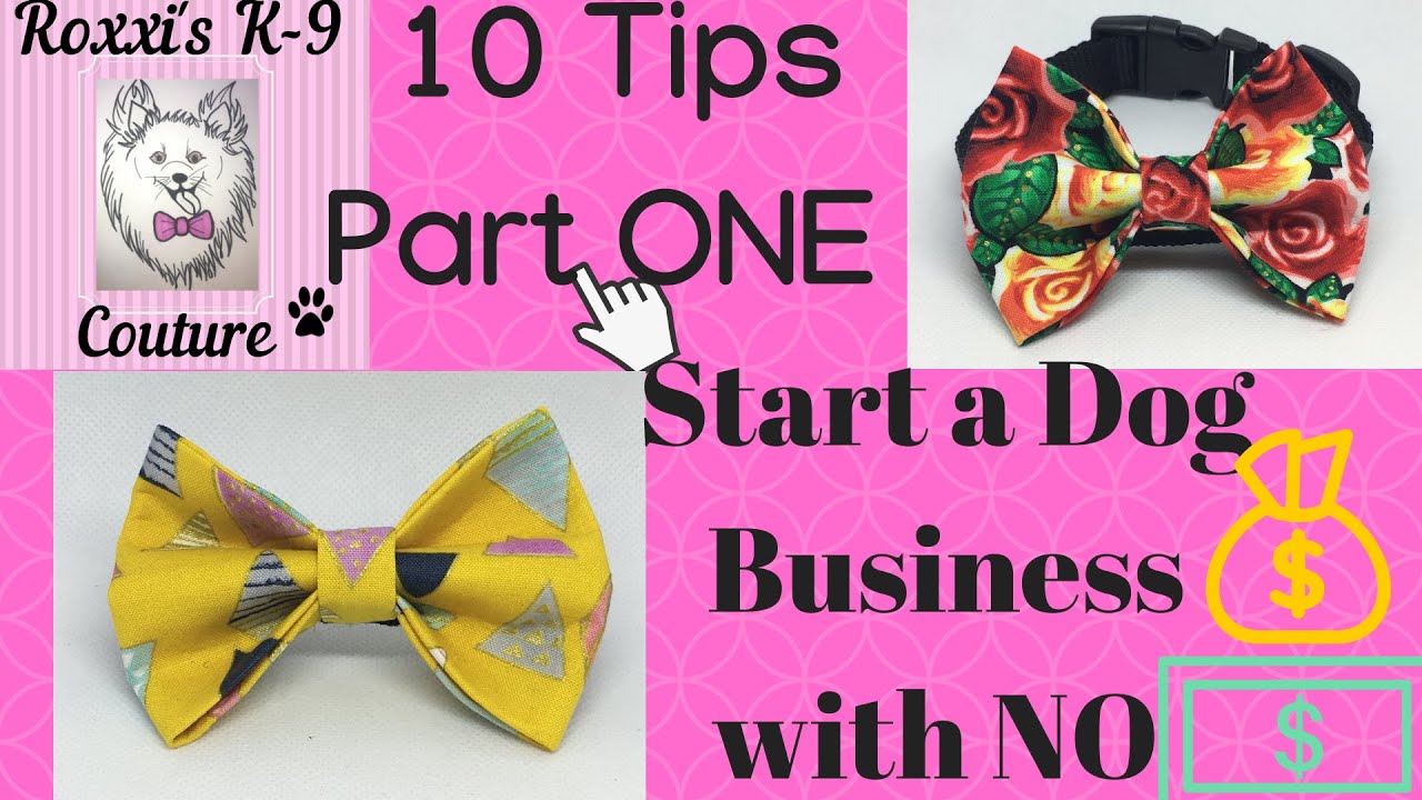 10 TIPS Starting a Dog/Cat Accessory  Business on a BUDGET  -  VERY Detailed | Part 1 Tips #1-3
