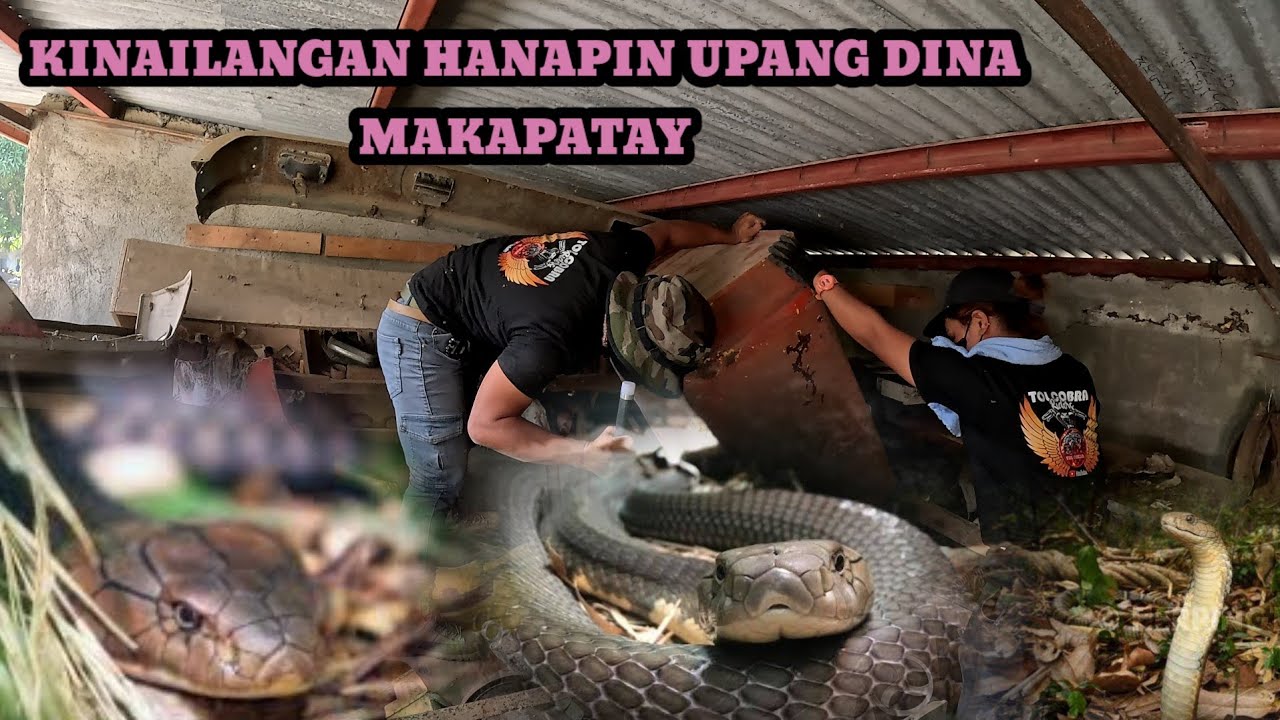 LUMABAS ANG TUNAY NA UGALI NG COBRA SA NASUGBU BATANGAS #TOLCOBRA