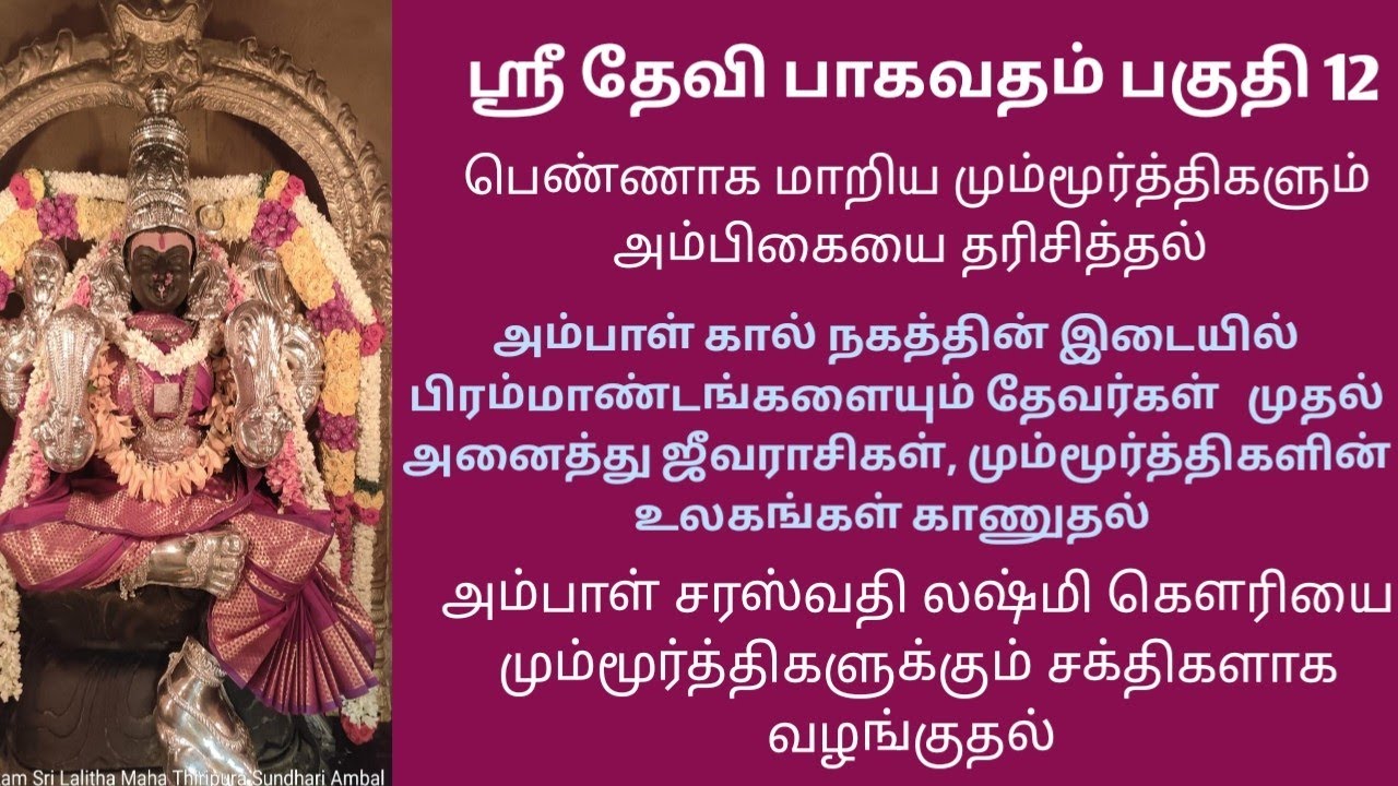 ஸ்ரீ தேவி பாகவதம் பகுதி 12 @karunaikamakshi devibagavatham