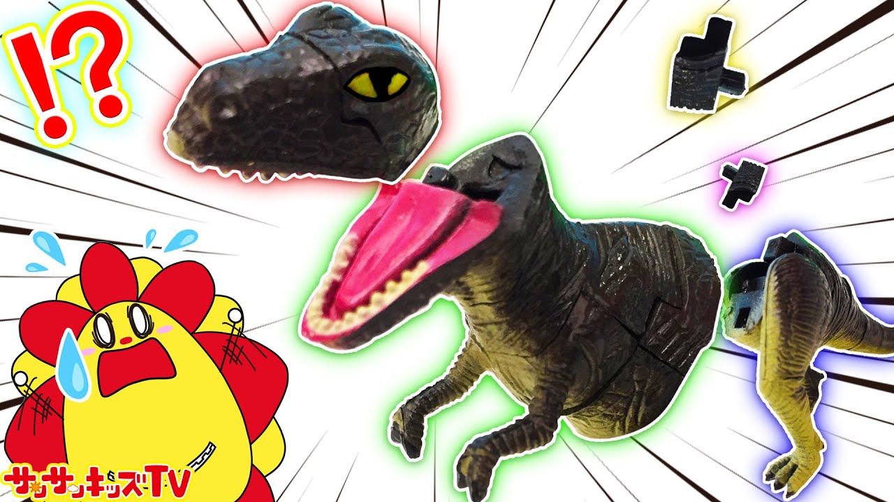 恐竜の卵を割ったらティラノサウルスがバラバラ！？パズルを組み立て対決！知育玩具・子供向け教育★サンサンキッズTV★
