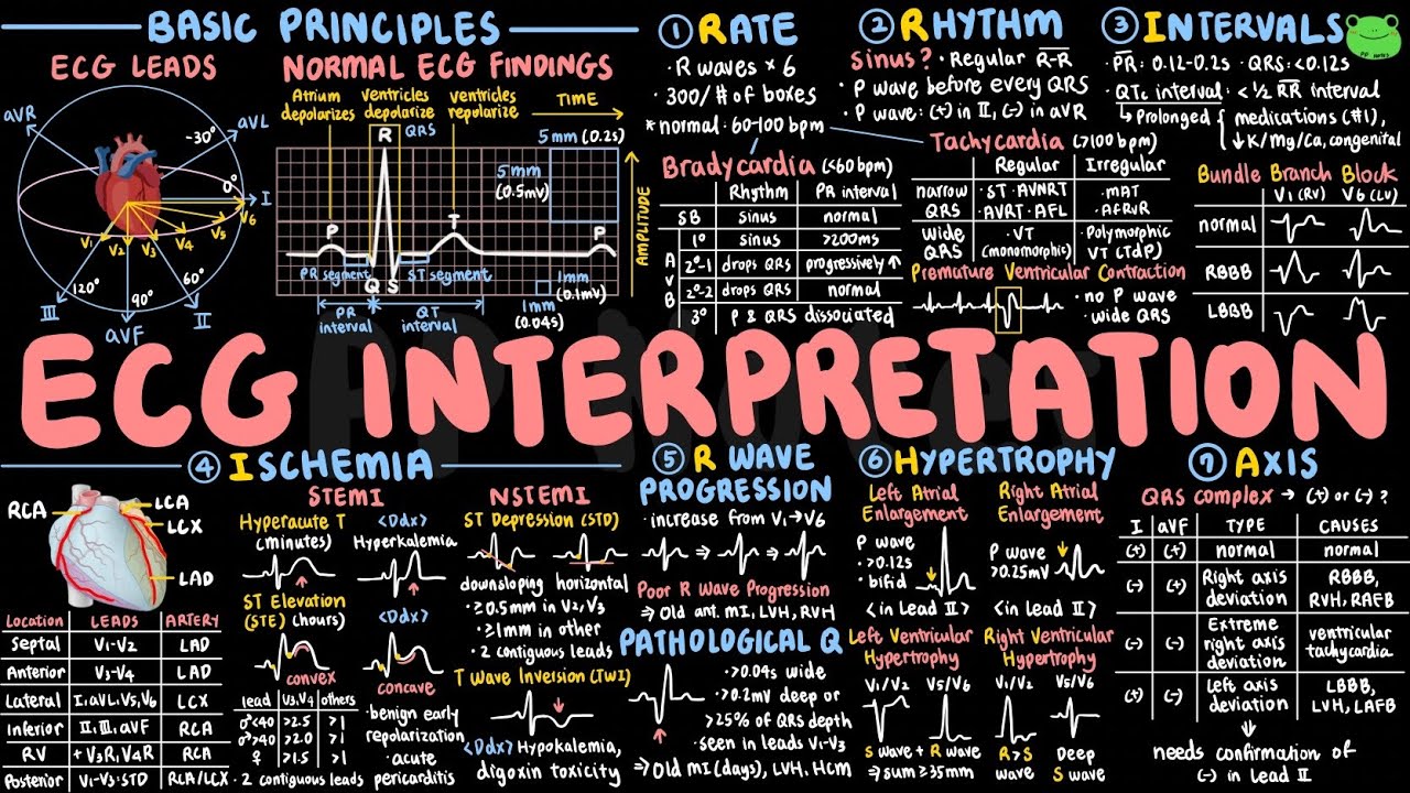 ECG Interpretation | Clinical Skills 06 | Clinical Essentials | PPNotes