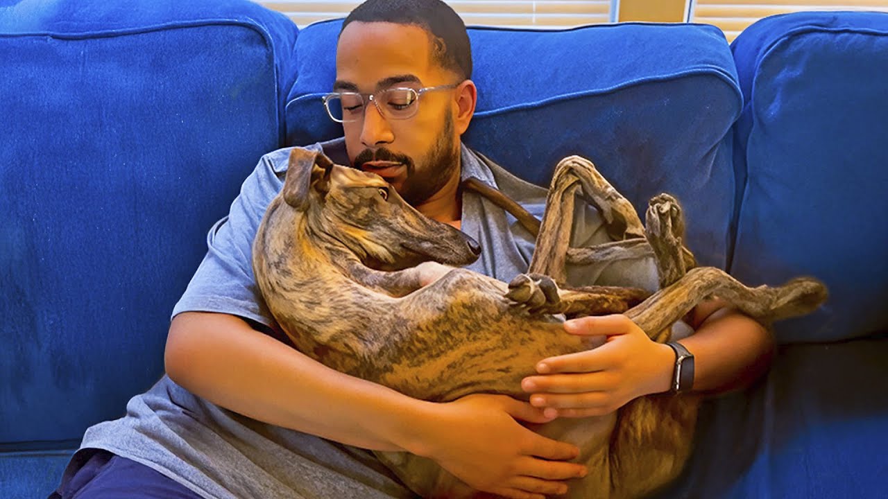 Couple Took In Train Station Dog — Here’s What He Did To The Husband First