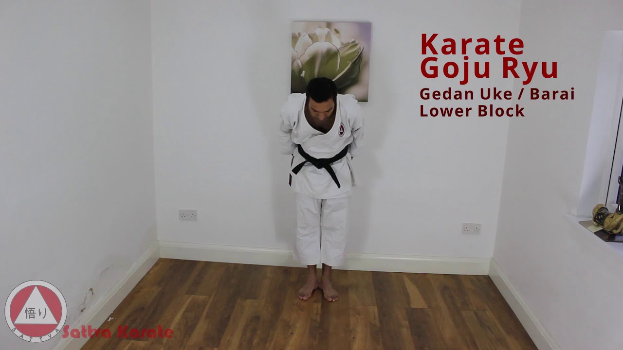 How to do Gedan Uke / Barai - Lower Block - Sattva Karate Goju Ryu