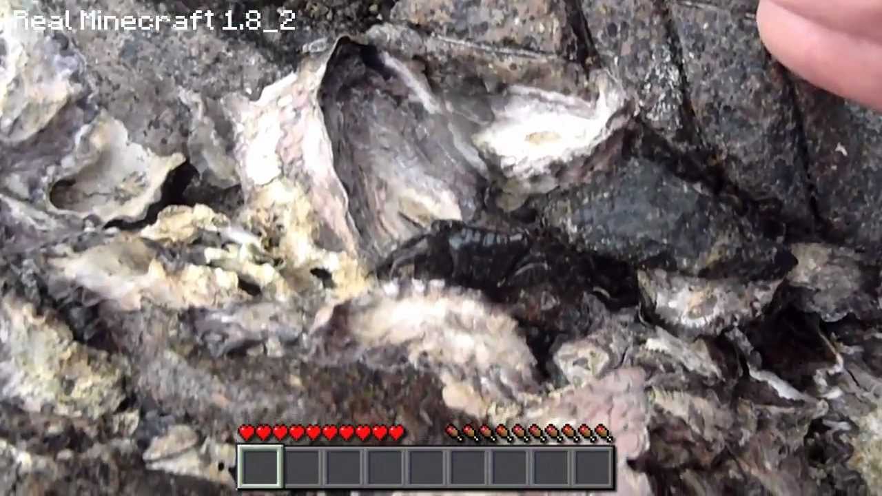 Real Life Minecraft - CRAB CAMO!