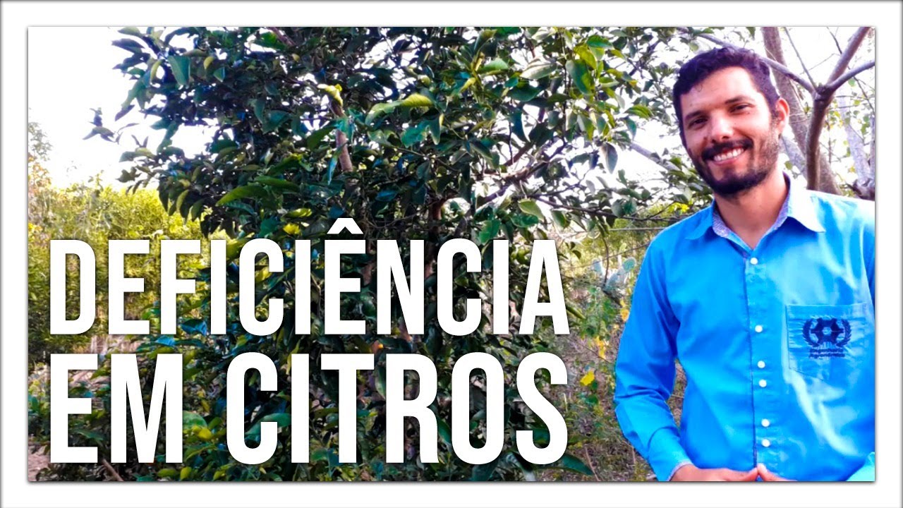 Dicas para identificar Deficiência de nutrientes em citros