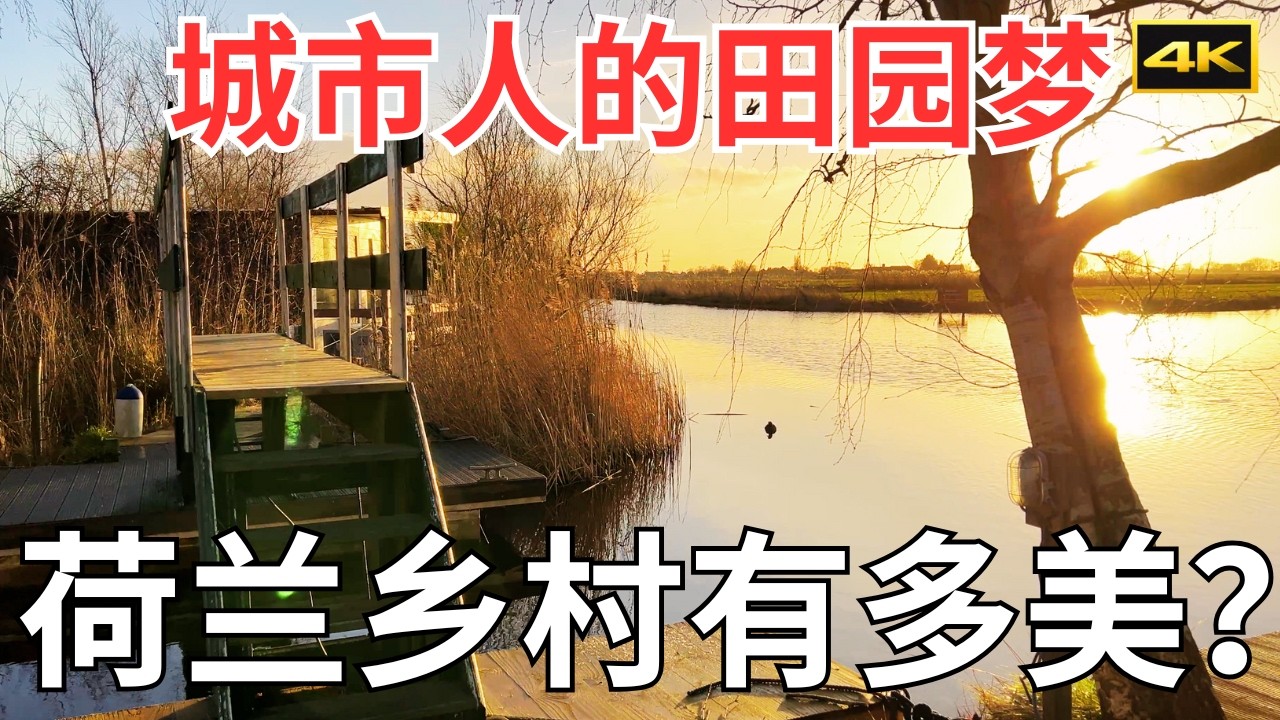 荷兰实现城市人的田园梦：小桥流水与天鹅相伴，荷兰乡村能治愈一切焦虑｜欧洲旅游Vlog第20集｜4K