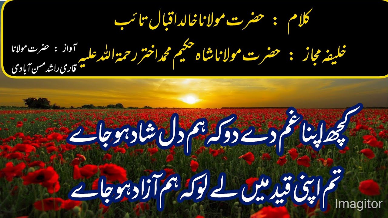 تم اپنی قید میں لے لو کہ ہم آزاد ہو جاے | عارفانہ کلام | Zerzaib Tv