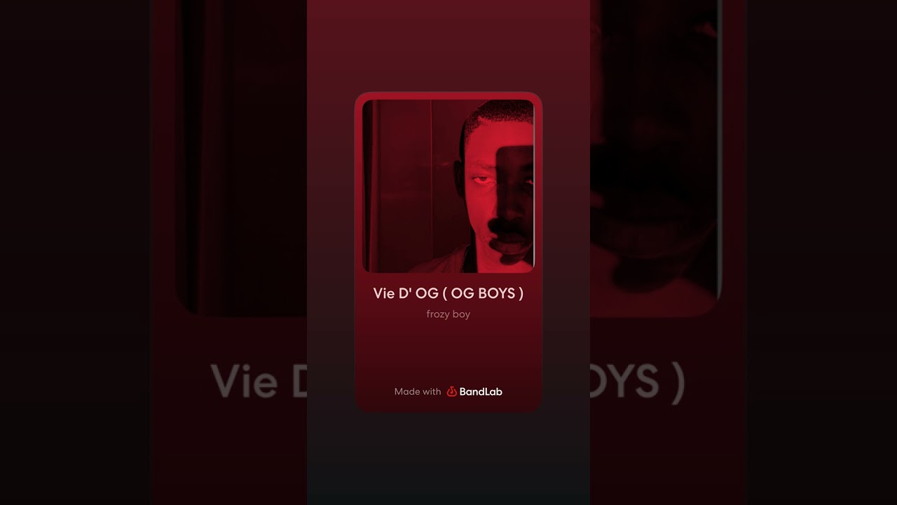 OG BOYS - vie D’OG -( Audio officiel)
