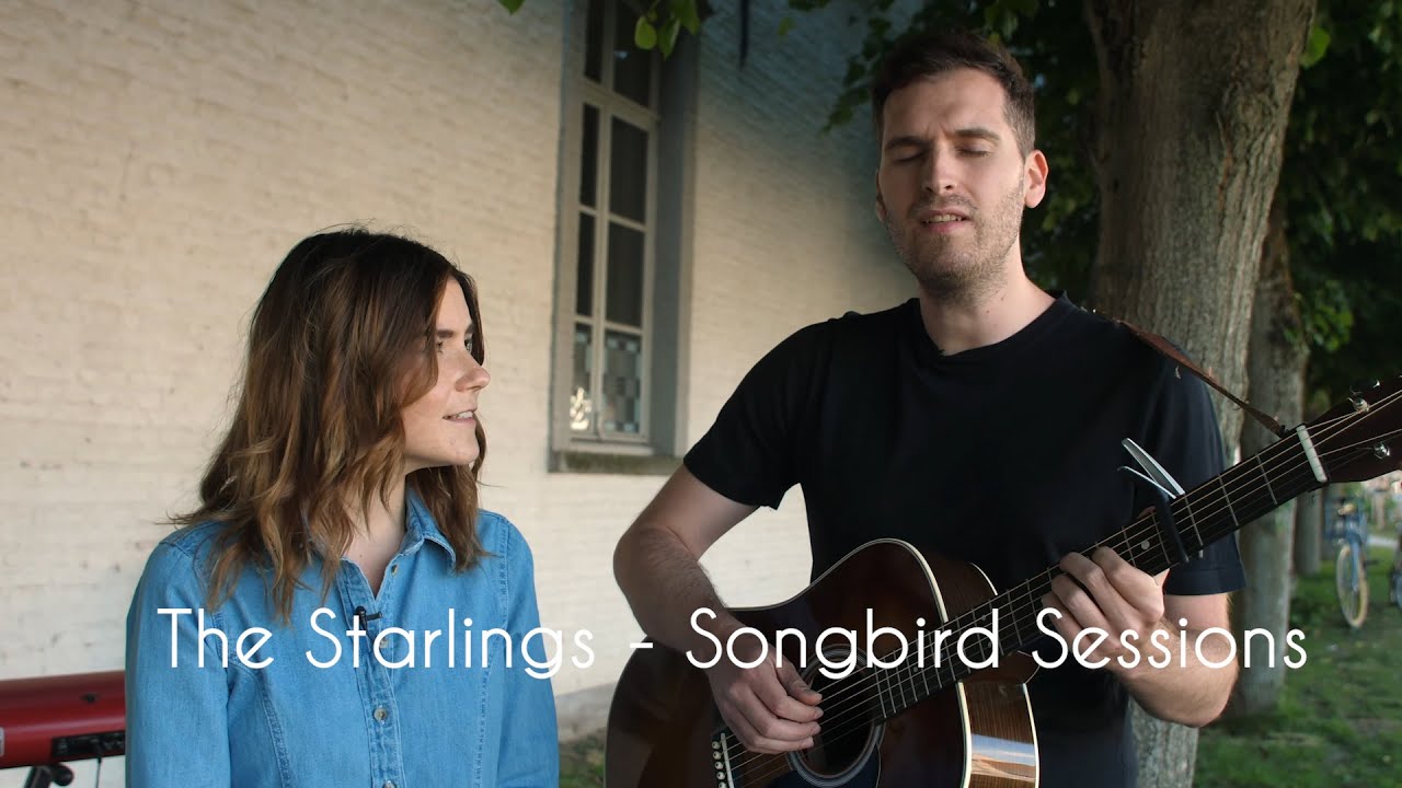 The Starlings - Songbird Session lll