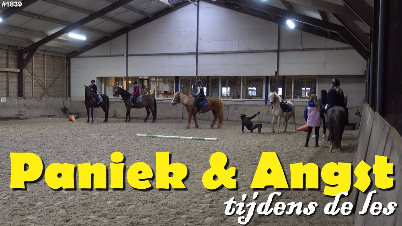 PANIEK bij de PAARDEN, tijdens de LES. #1839