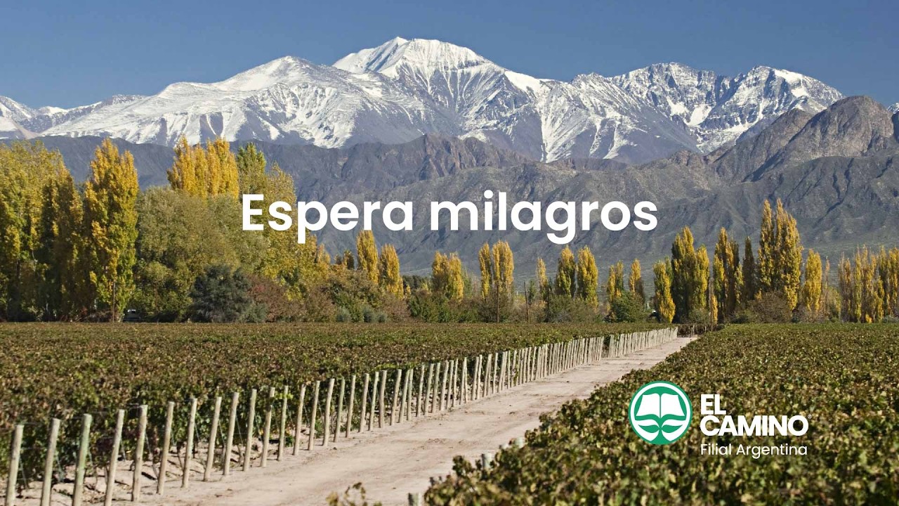 Espera Milagros - Producciones El Camino - Música