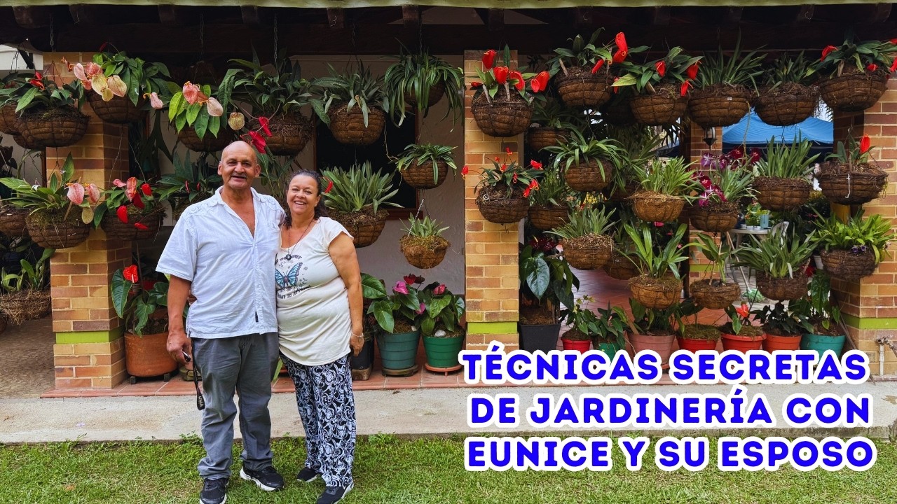 PLANTAS inusuales que puedes cultivar en casa, hermoso JARDÍN de Eunice |AP
