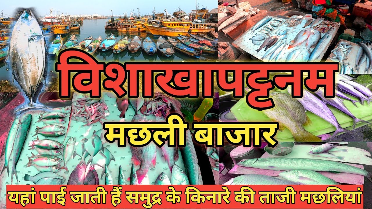 Visakhapatnam's famous fish market Fishing Harbour Explain in Hindi #fishingharbour